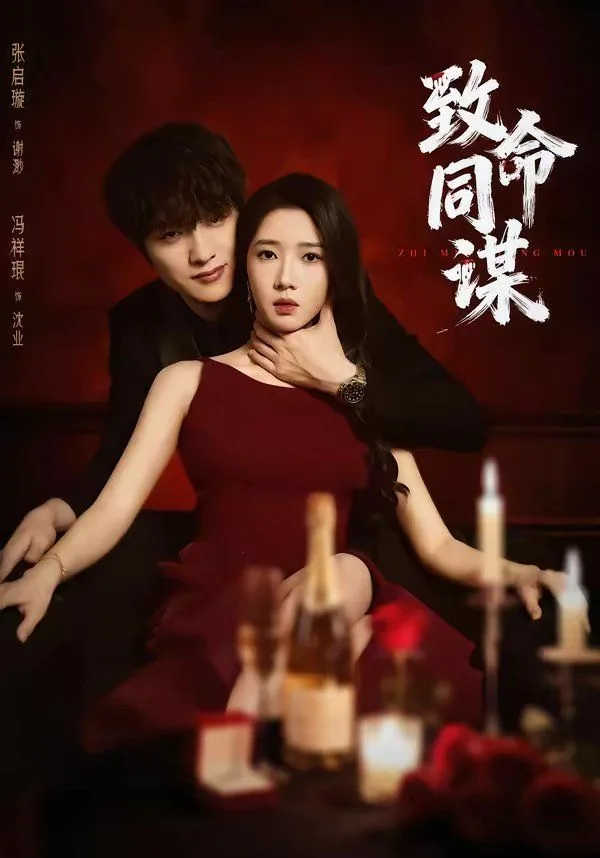 致命同谋