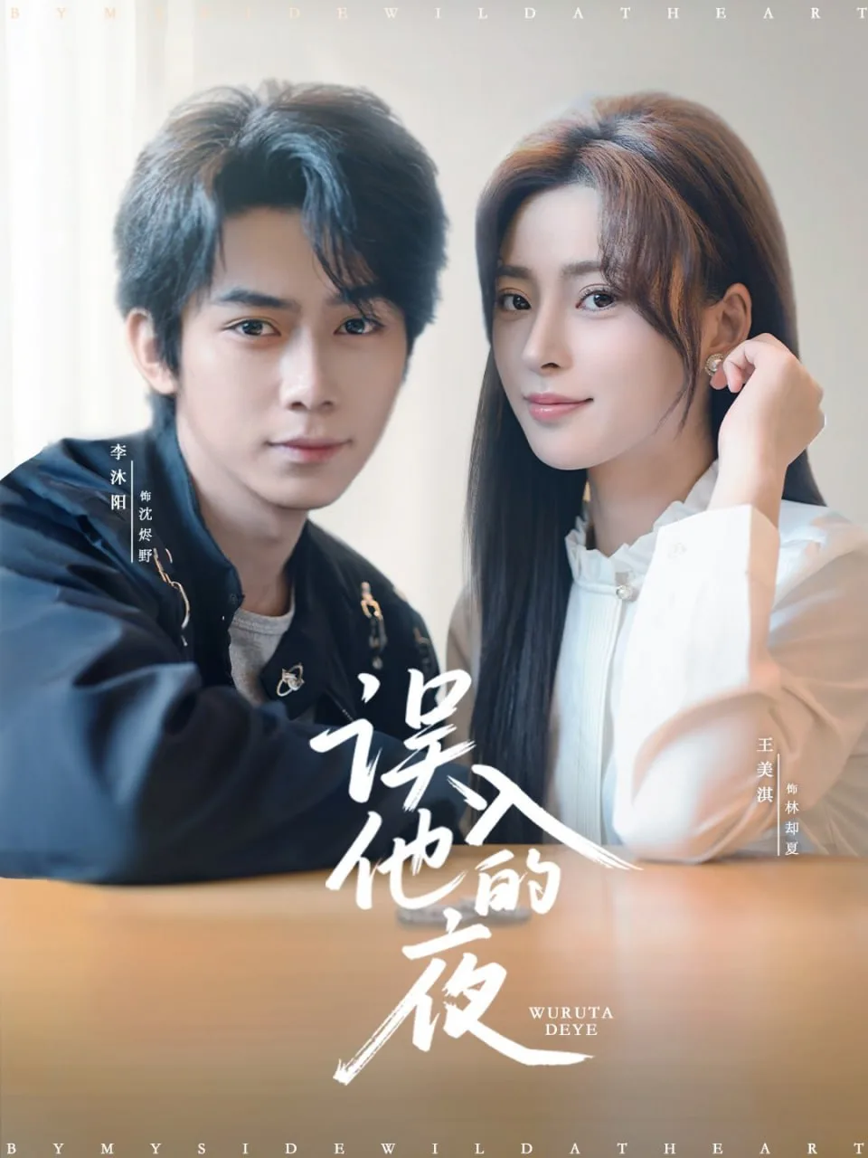 误入他的夜（烬夏危情）