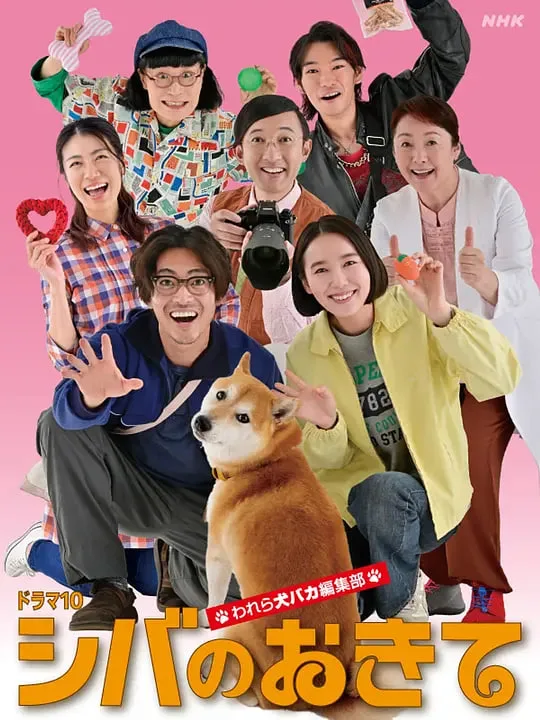柴犬的规矩～我们这群狗痴编辑部